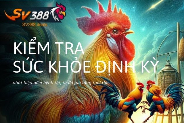 Thường xuyên kiểm tra xem gà mái có dấu hiệu viêm nhiễm hay không