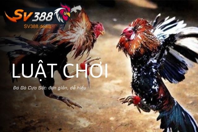 Luật Chơi Đá Gà Cựa Sắt Tại SV388: đơn giản, dễ hiểu