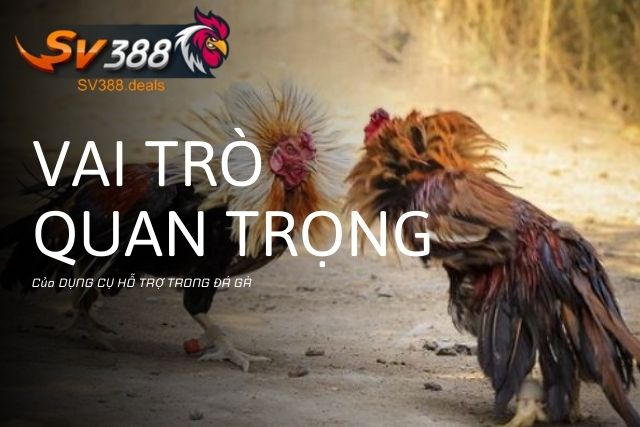 Vai trò quan trọng của các dụng cụ hỗ trợ 