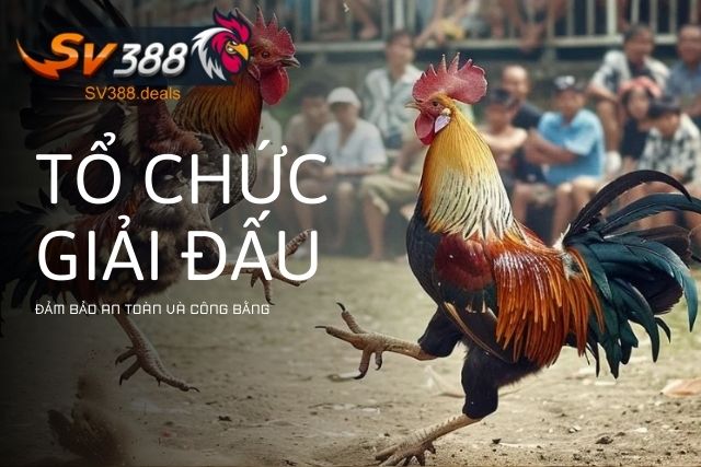 Tổ chức giải đấu đảm bảo an toàn và công bằng