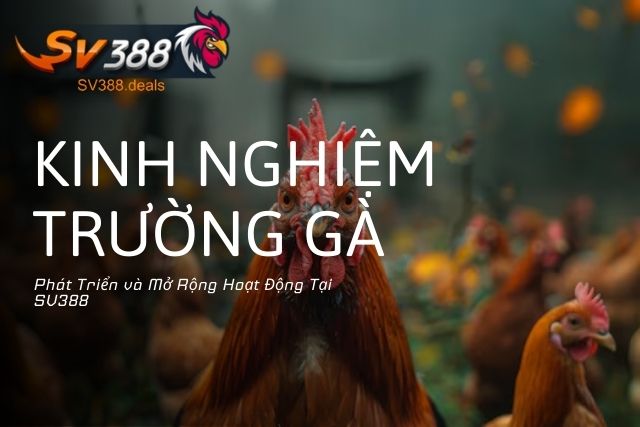 Phát Triển và Mở Rộng Hoạt Động Tại SV388